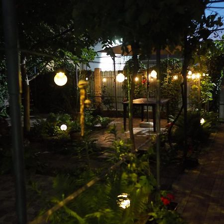 Casa De Vacanta Rodica Σουλινάς Εξωτερικό φωτογραφία