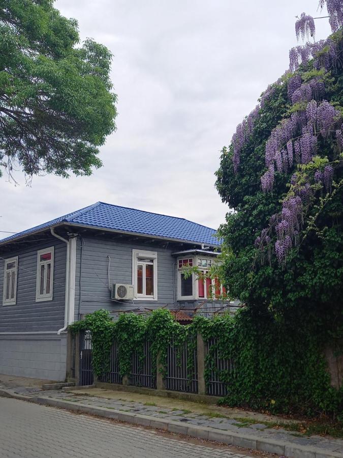 Casa De Vacanta Rodica Σουλινάς Εξωτερικό φωτογραφία