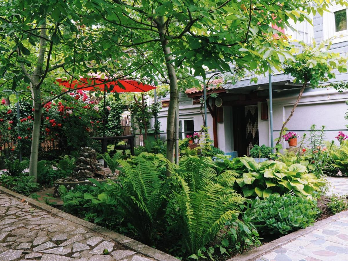 Casa De Vacanta Rodica Σουλινάς Εξωτερικό φωτογραφία